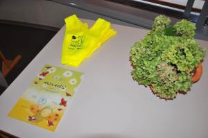 b_800_600_0_00_images_stories_Novice_2017_1._solski_dan_9z