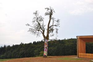 b_800_600_0_00_images_stories_Novice_2017_1._solski_dan_9c