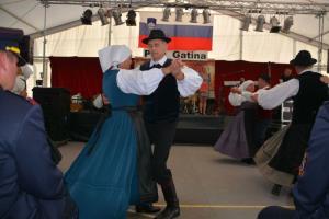 b_800_600_0_00_images_stories_Novice_2017_Slovesnost_ob_90_letnici_Prostovoljnega_gasilskega_drustva_Gatina_9zc