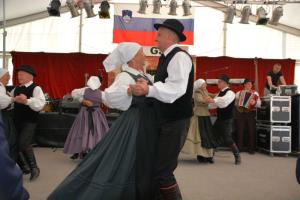 b_800_600_0_00_images_stories_Novice_2017_Slovesnost_ob_90_letnici_Prostovoljnega_gasilskega_drustva_Gatina_9zd