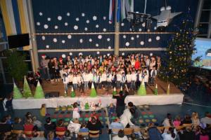 b_800_600_0_00_images_stories_Novice_2013_Predpraznicna_glasbena_prireditev_Osnovne_sole_Brinje_Grosuplje_9f