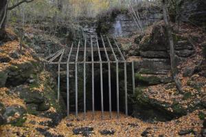 b_800_600_0_00_images_stories_Novice_2013_Tradicionalni_jesenski_pohod_po_Radenskem_polju_in_Martinov_sejem_9i