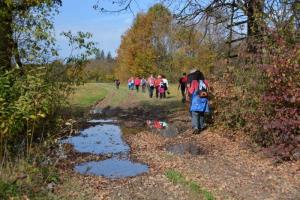 b_800_600_0_00_images_stories_Novice_2013_Tradicionalni_jesenski_pohod_po_Radenskem_polju_in_Martinov_sejem_9m