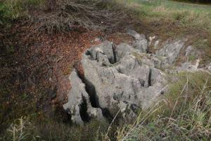 b_800_600_0_00_images_stories_Novice_2013_Tradicionalni_jesenski_pohod_po_Radenskem_polju_in_Martinov_sejem_9n