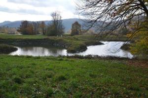 b_800_600_0_00_images_stories_Novice_2013_Tradicionalni_jesenski_pohod_po_Radenskem_polju_in_Martinov_sejem_9p
