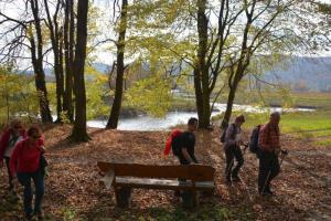 b_800_600_0_00_images_stories_Novice_2013_Tradicionalni_jesenski_pohod_po_Radenskem_polju_in_Martinov_sejem_9r