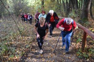 b_800_600_0_00_images_stories_Novice_2013_Tradicionalni_jesenski_pohod_po_Radenskem_polju_in_Martinov_sejem_9s