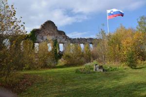 b_800_600_0_00_images_stories_Novice_2013_Tradicionalni_jesenski_pohod_po_Radenskem_polju_in_Martinov_sejem_9t