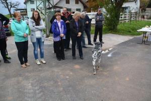 b_800_600_0_00_images_stories_Novice_2013_Otvoritev_izgradnje_kanalizacijskega_sistema_v_Paradiscu_9b