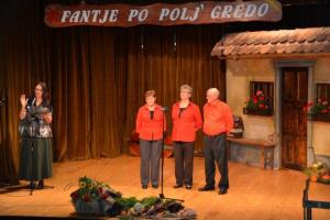 b_800_600_0_00_images_stories_Novice_2013_Fantje_po_polj_gredo_9b