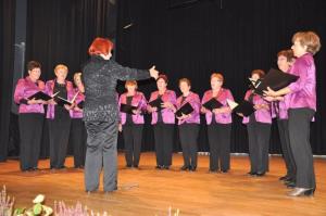 b_800_600_0_00_images_stories_Novice_2013_Kulturno_druzabno_srecanje_drustev_upokojencev_6