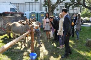 b_800_600_0_00_images_stories_Novice_2013_Grosuplje_v_jeseni_2013_6