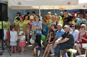 b_800_600_0_00_images_stories_Novice_2013_Slavnostna_seja_Obcinskega_sveta_Obcine_Grosuplje_2013_9zc