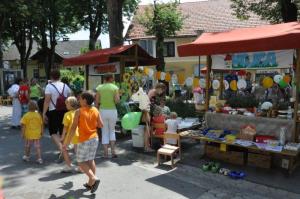 b_800_600_0_00_images_stories_Novice_2013_Slavnostna_seja_Obcinskega_sveta_Obcine_Grosuplje_2013_9zj