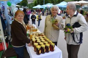 b_800_600_0_00_images_stories_Novice_2013_Cas_za_ustvarjanje_9a