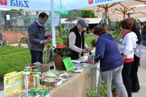 b_800_600_0_00_images_stories_Novice_2013_Cas_za_ustvarjanje_9j