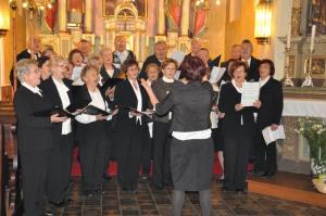 b_800_600_0_00_images_stories_Novice_2013_Zakljucek_9_akademskega_leta_UTZO_Grosuplje_6