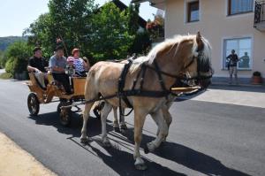 b_800_600_0_00_images_stories_Novice_2012_avgust_Otvoritev_ceste_v_Ponovi_vasi_6