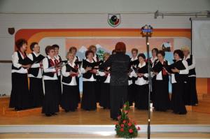 b_800_600_0_00_images_stories_Novice_2012_februar_Revija_odraslih_pevskih_zborov_in_malih_pevskih_skupin_5