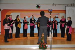 b_800_600_0_00_images_stories_Novice_2012_februar_Revija_odraslih_pevskih_zborov_in_malih_pevskih_skupin_9a