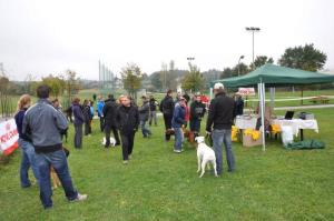 b_800_600_0_00_images_stories_novice_2011-1_oktober_141bu