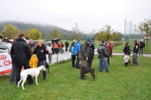 b_800_600_0_00_images_stories_novice_2011-1_oktober_154bu