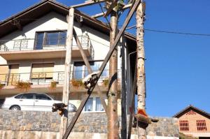 b_800_600_0_00_images_stories_novice_2011-1_oktober_329bo