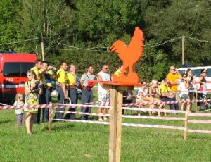 b_800_600_0_00_images_stories_novice_2011-1_avgust_Napad_na_rdecega_petelina_5