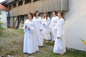 b_800_600_0_00_images_stories_novice_2011-1_julij_Koncert_pevskega_drustva_Ragle_3