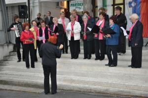 b_800_600_0_00_images_stories_novice_2011-1_junij_Proslava_ob_dnevu_drzavnosti_9c