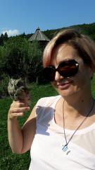 Veliki skovik (foto: Marjan Koščak)