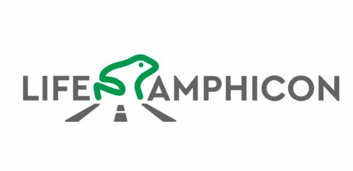logo-life-amphicon.jpg
